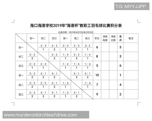 羽毛球团队协作榜单揭晓南京羽毛球队荣获第三名佳绩